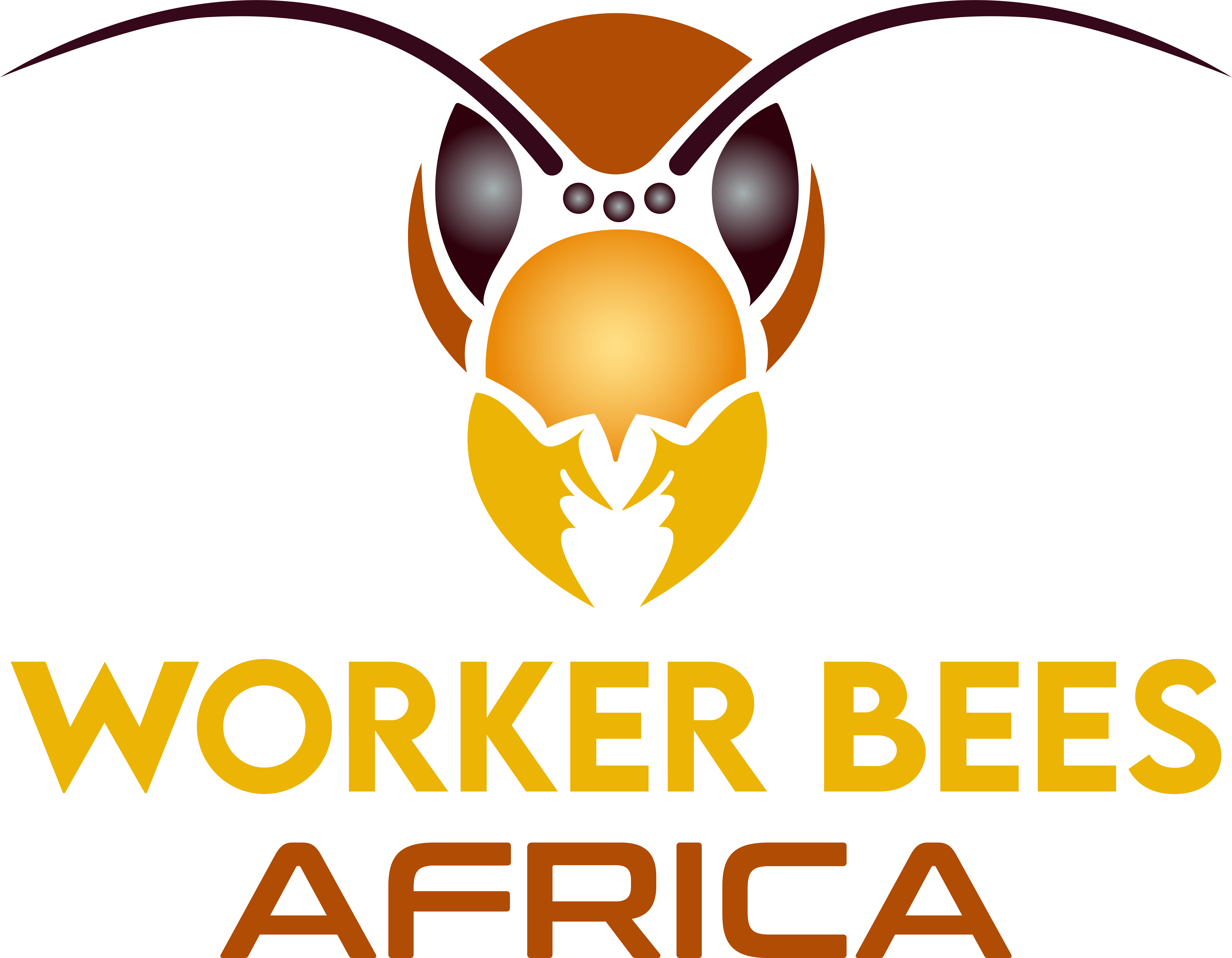 Worker Bees Africa logo - NGO dedicated to pollinator conservation and community empowerment in Tanzania